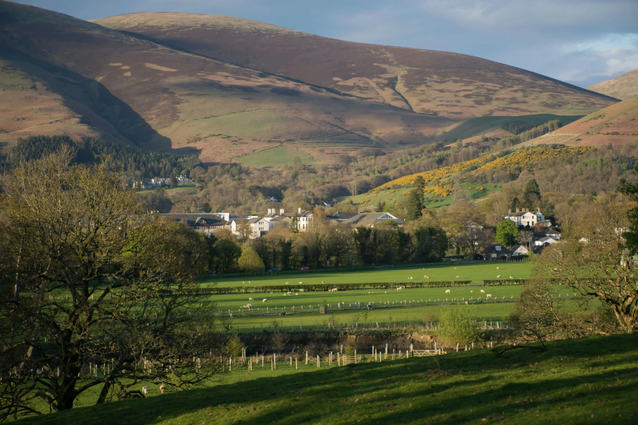 Discover how overlooked tax relief could unlock thousands of pounds in savings for your farm.